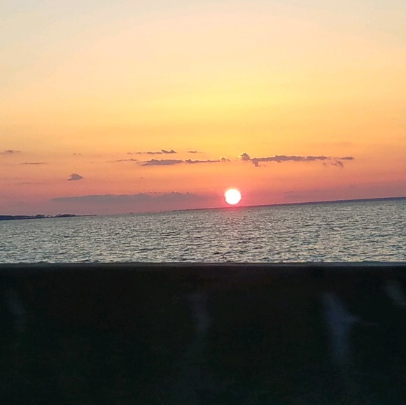 Meet your Posher, Giselle - Picture 1 of 1